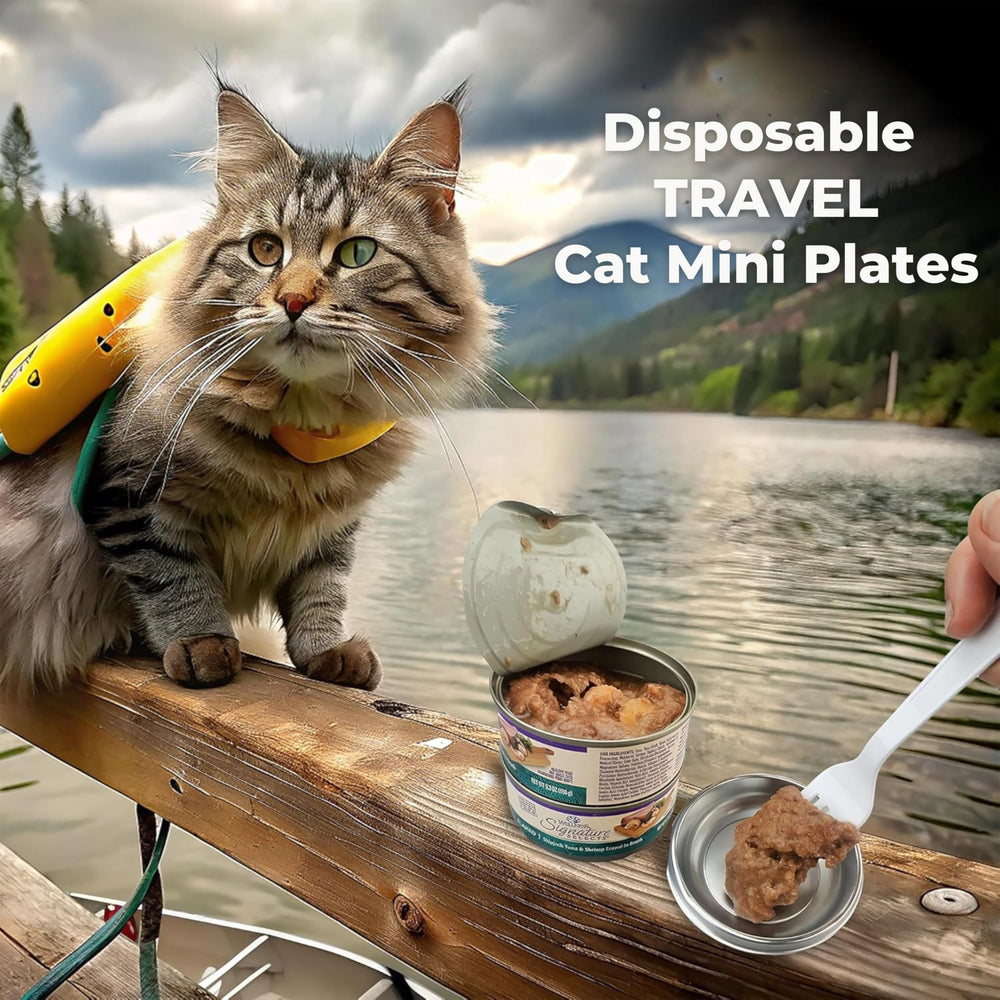 Skywin small pets bowls grey for versatile dry wet foods and water