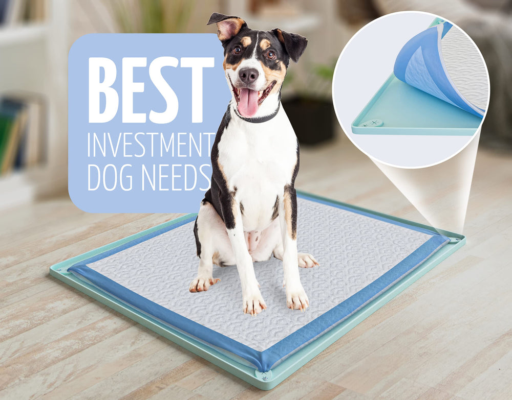 Skywin TidyFriend easy-clean silicone surface simplifies quick wipe-downs.