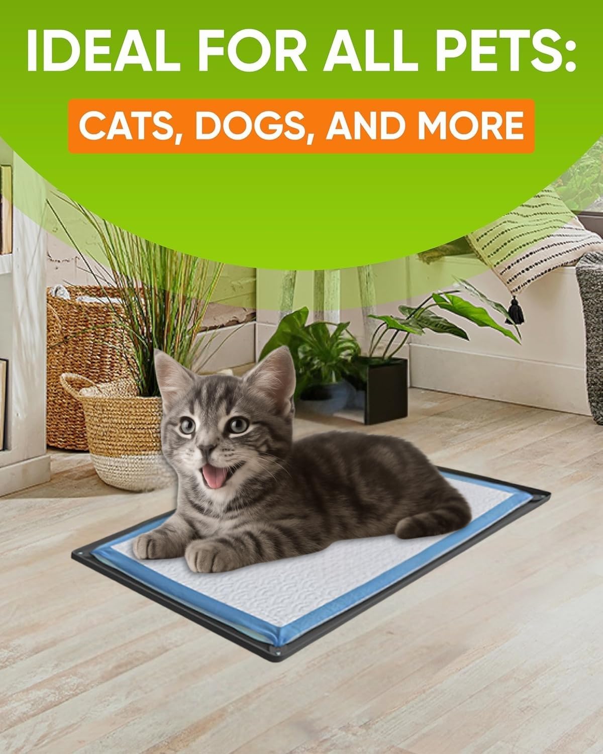 Skywin TidyFriend easy-to-clean silicone surface speeds cleanup after use.