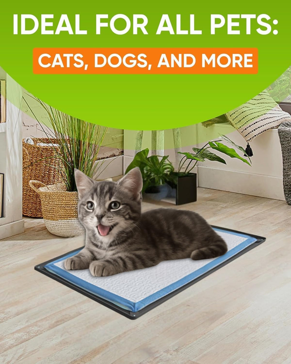 Skywin TidyFriend easy-to-clean silicone surface speeds cleanup after use.