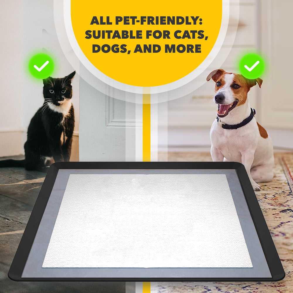 Skywin TidyFriend quick-wipe surface supports fast cleanup during training.