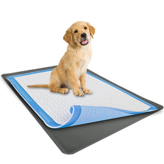Skywin TidyFriend pee pad holder on floor protects surfaces and simplifies care