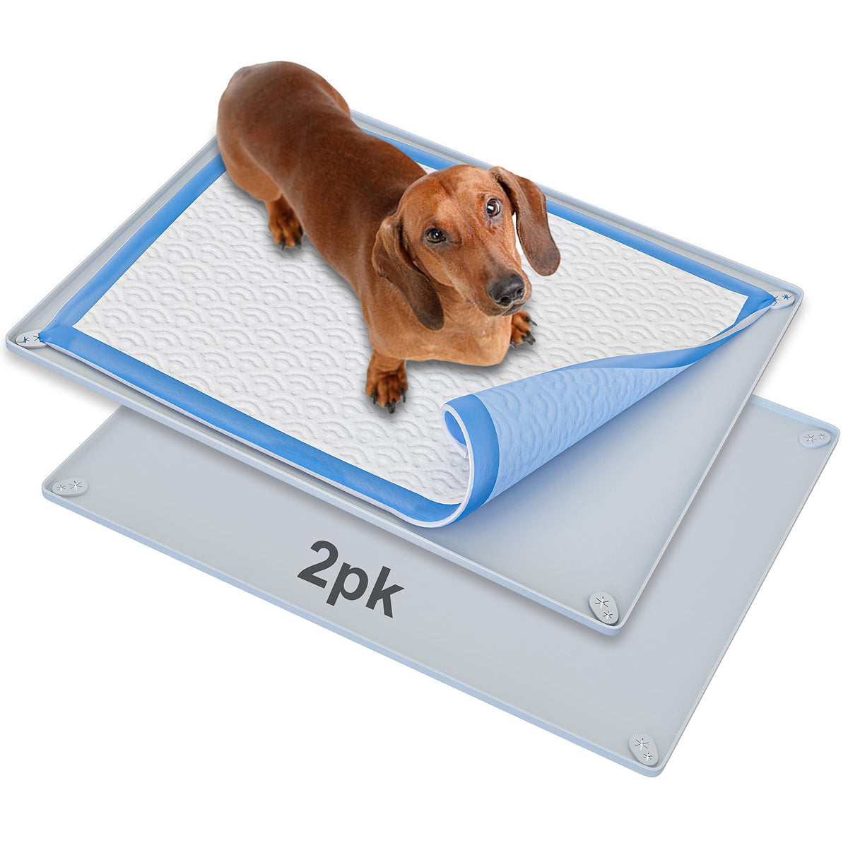 Skywin TidyFriend pee pad holder tray angled view, portable for travel-ready pet routines.