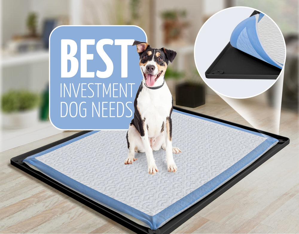 Skywin TidyFriend pee pad tray portable design travels easily for on-the-go pet routines.