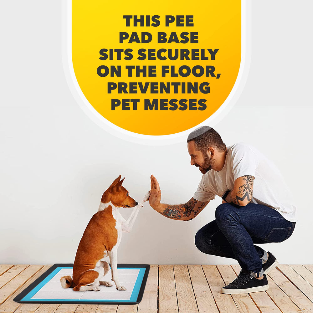 Skywin TidyFriend secure placement reduces movement during playtime and training.