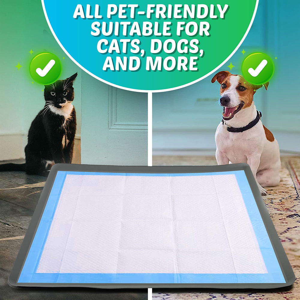 Skywin TidyFriend travel-ready roll-up tray for on-the-go training