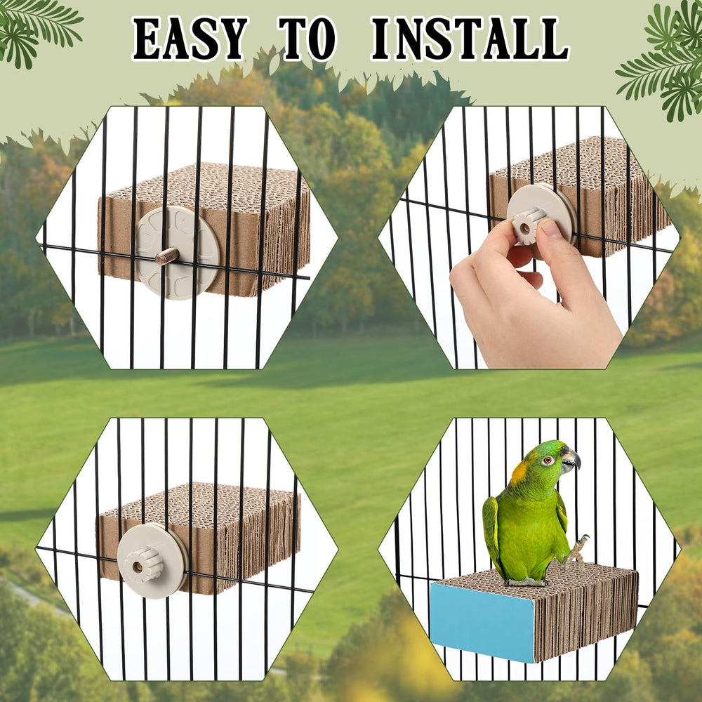 Skyygemm bird-play-rest pose highlights relaxed perched position and mental stimulation.