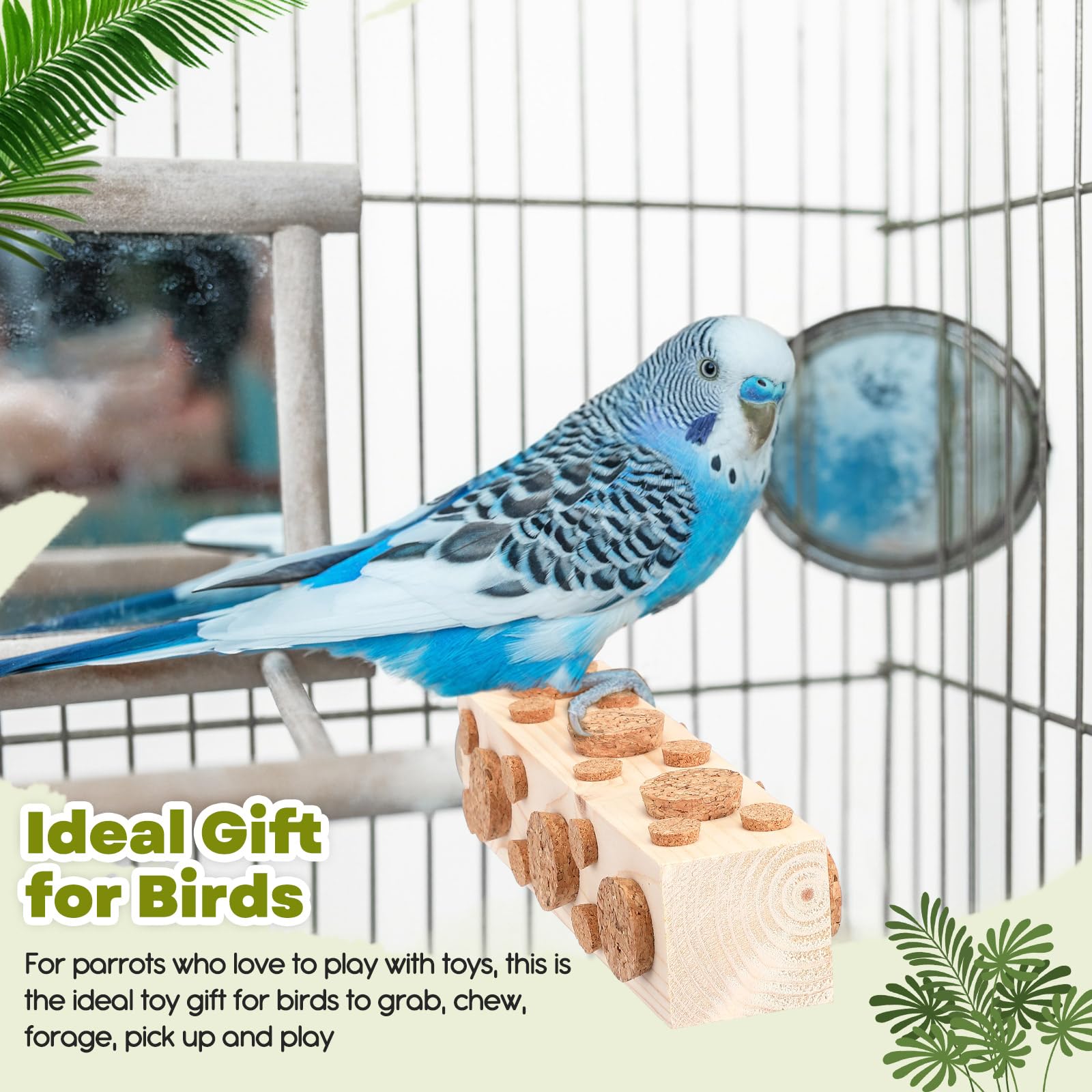 Skyygemm conure and budgie enjoy toy in cage setup for enrichment