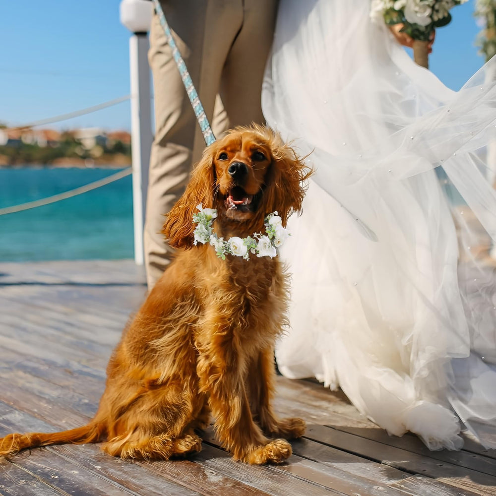 slcinwzdt-handmade-collar-petal-detail highlights handmade craftsmanship and stylish finish