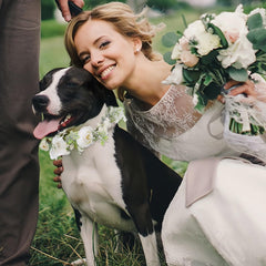 slcinwzdt-pearl-beaded-leash close-up highlights timeless bridal accessory for dogs