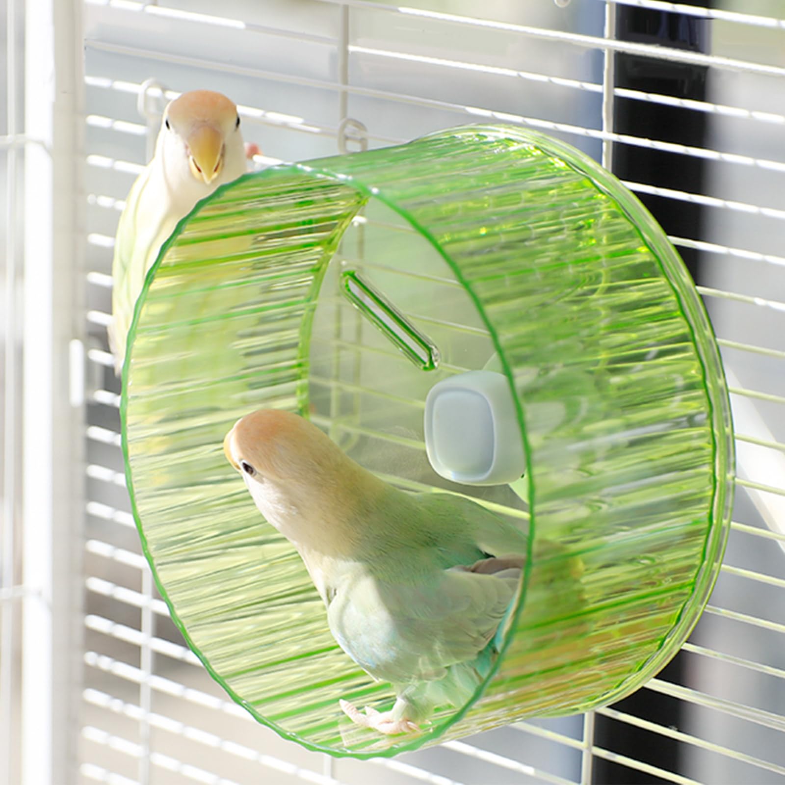 Slepceub multi-animal use wheel supports birds, parrots, turtles, and hamsters.