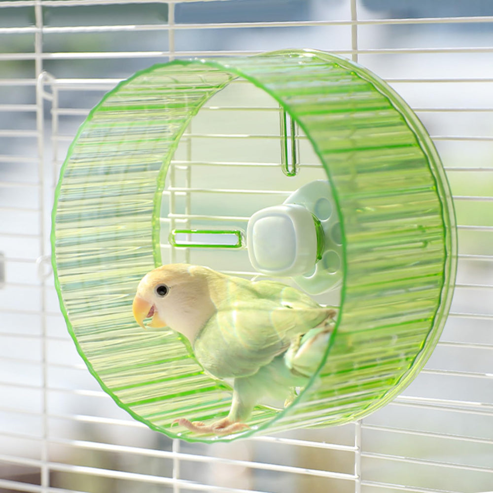 Slepceub parrot wheel silent operation highlights quiet evenings and calm pets.