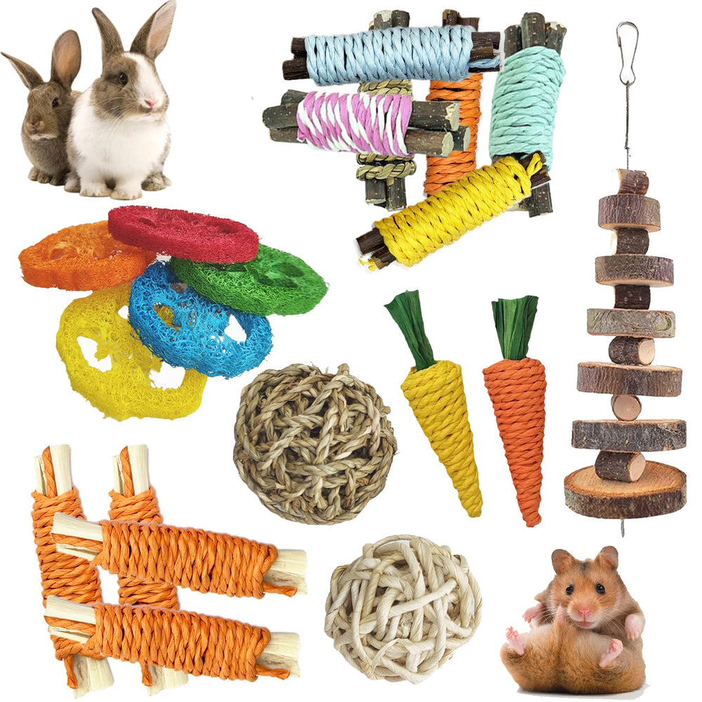 Slicon apple wood molar string for natural chewing and dental wear.