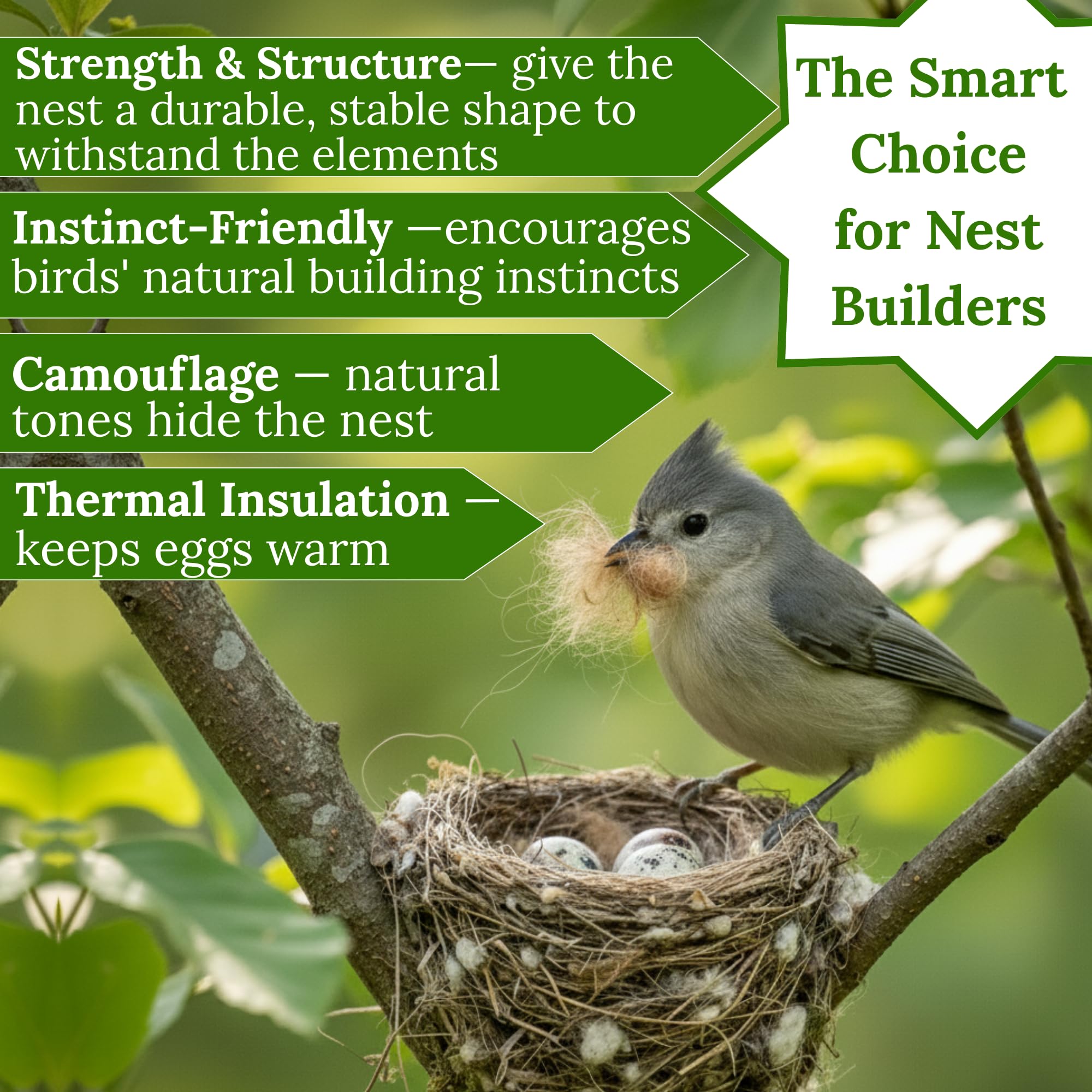 slivche finches canaries nesting material spread in cage emphasizing dry, clean bedding