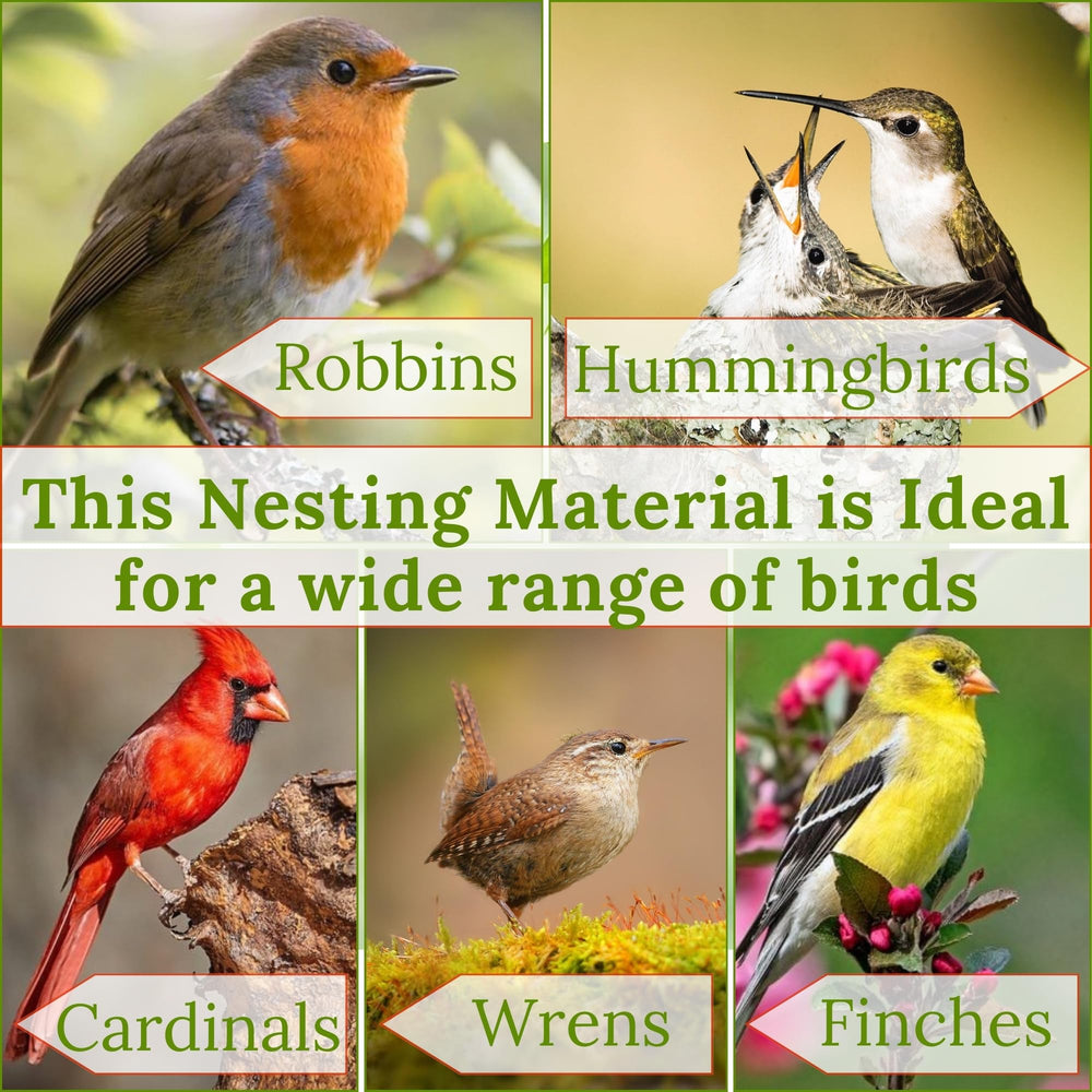 Slivche Hummingbird Nesters ball diameter 4 inch ready to attract birds