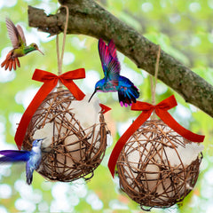 Slivche Hummingbird Nesters ball hanging setup attracts hummingbirds for backyard birdwatching