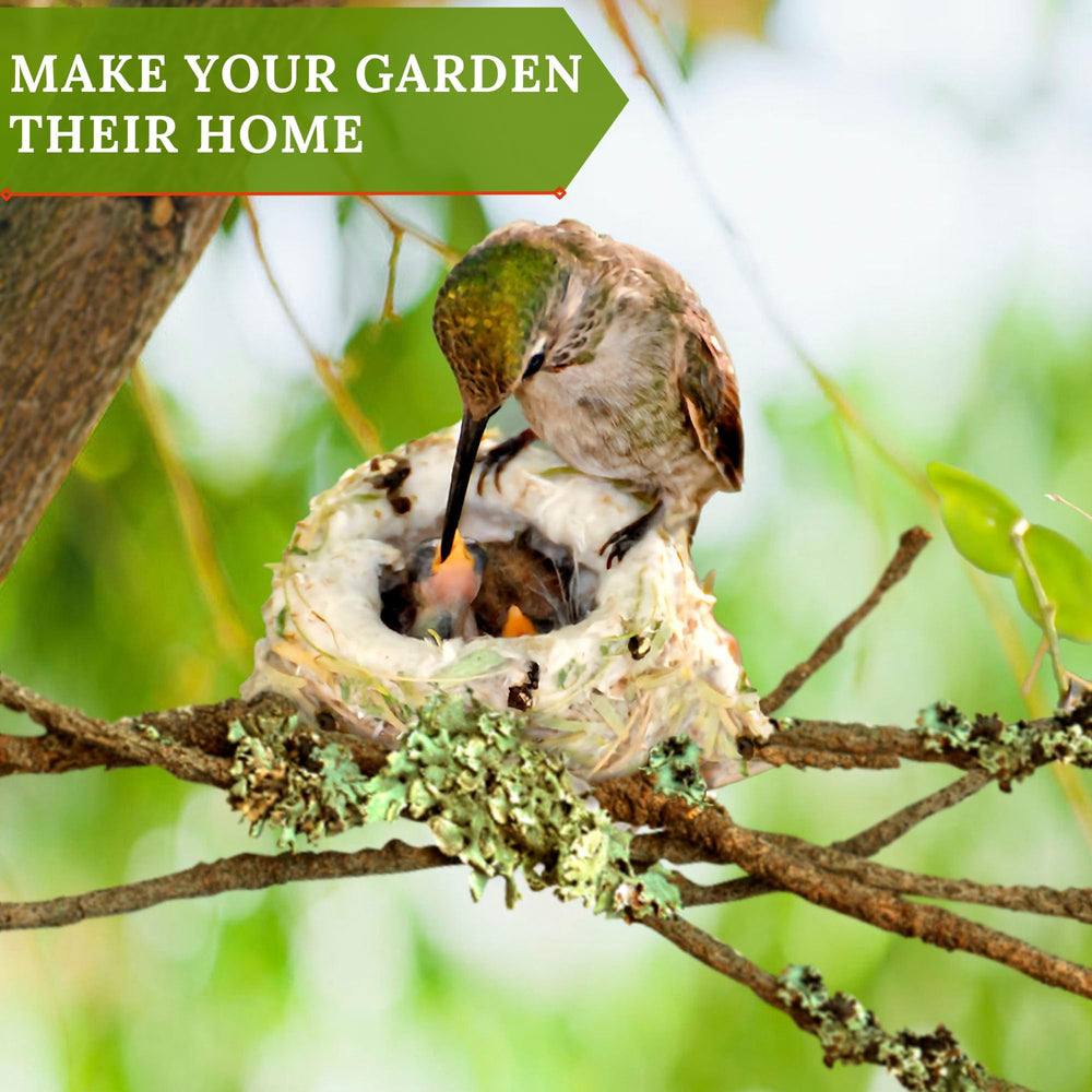 Slivche Hummingbird Nesters bird-watching gift ideal for nature lovers