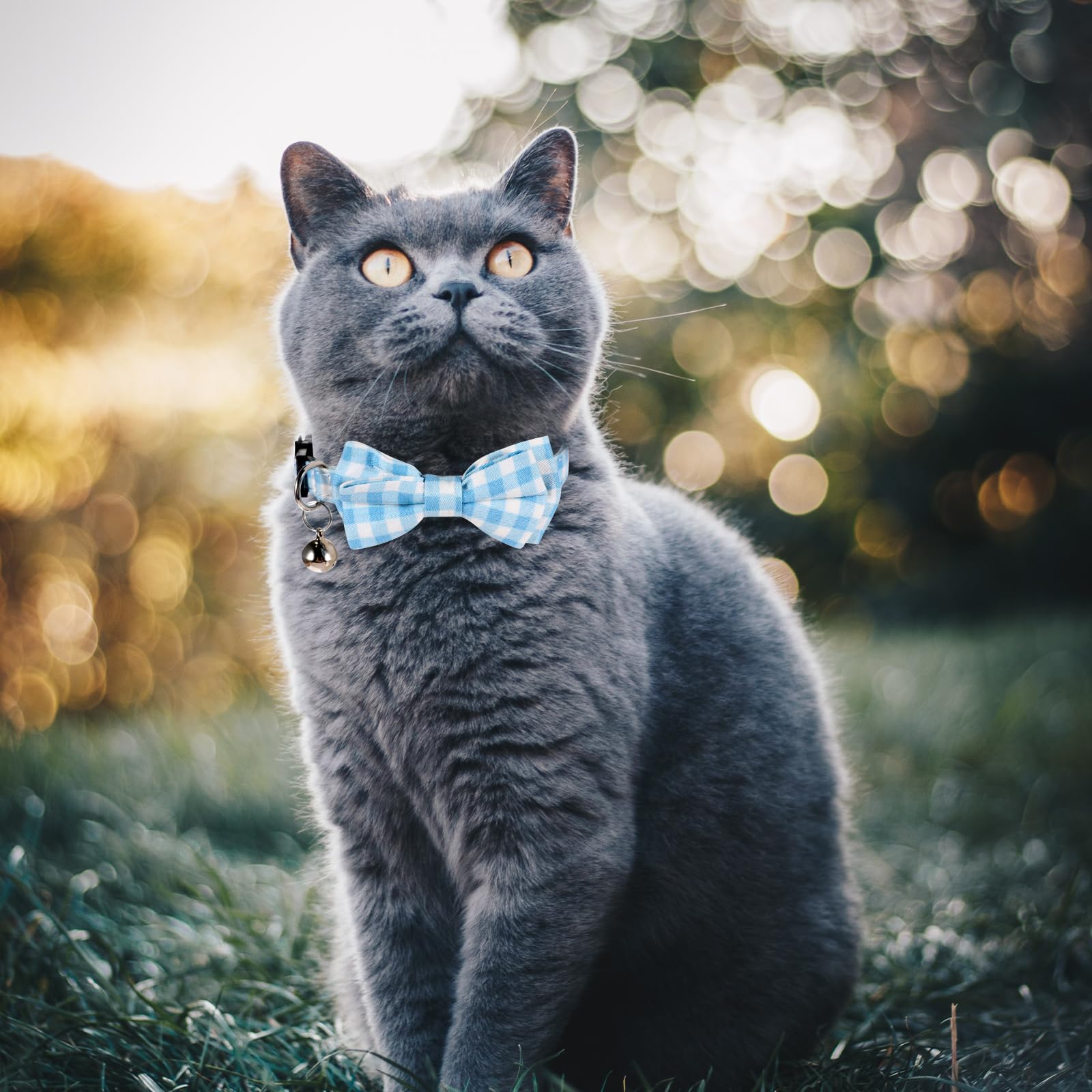 Sliverdew Bow Cat Collar removable bowtie detail for occasions