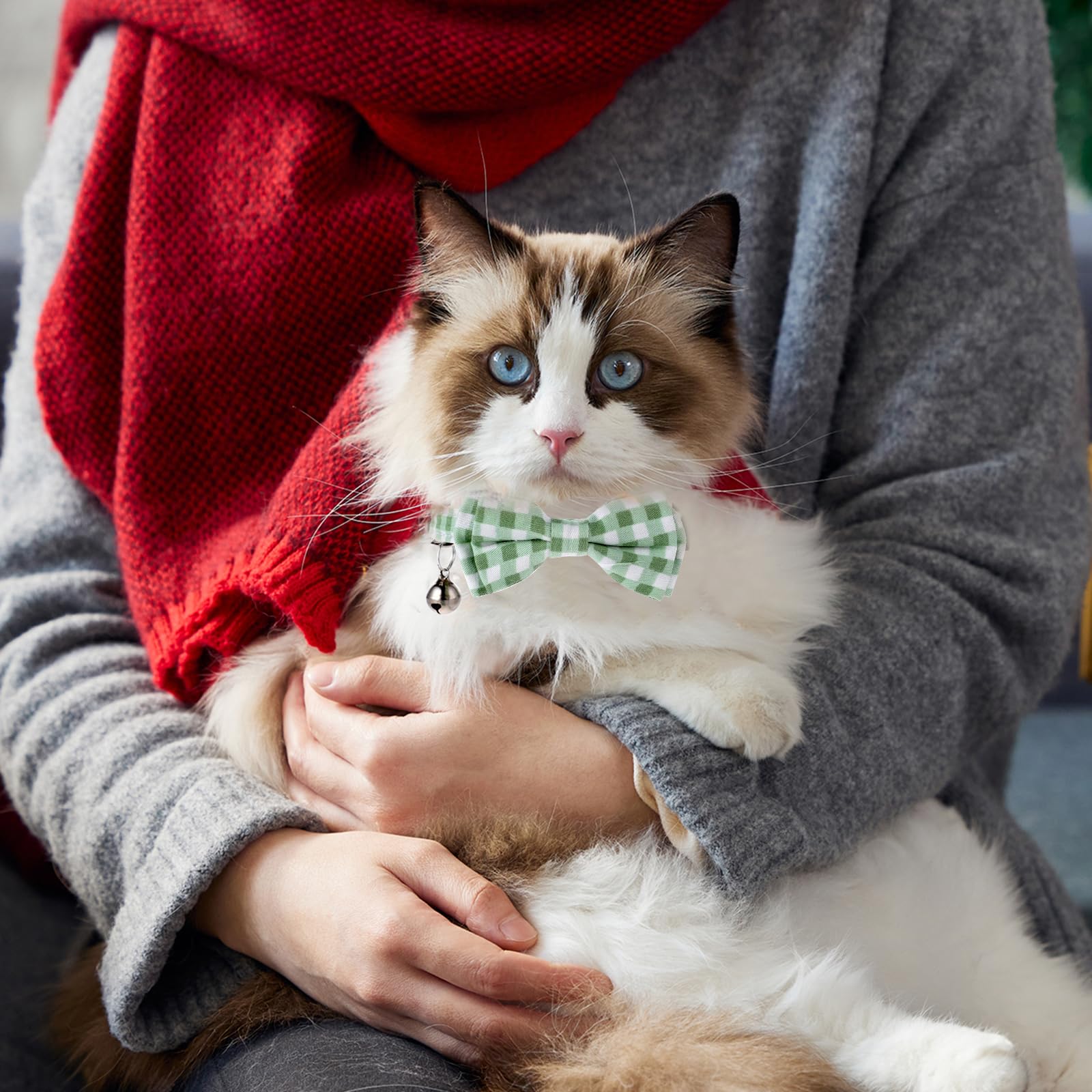 Sliverdew bow cat collar adjustable strap close-up showing 7 to 12 inch range.