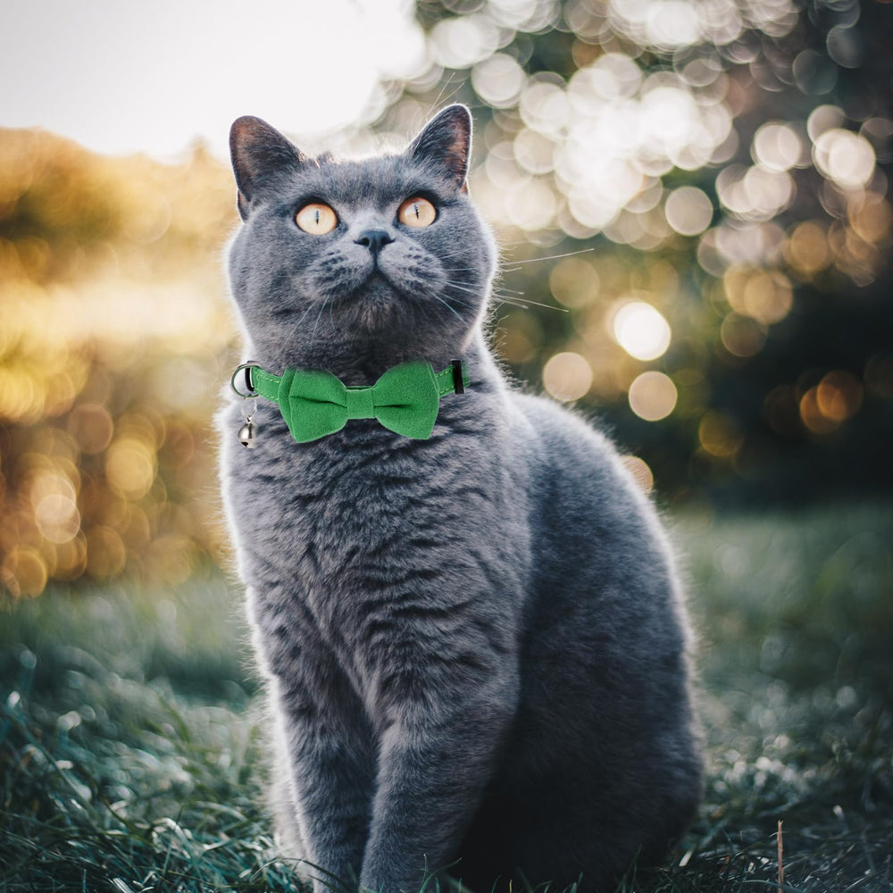 Sliverdew bow cat collar on pet demonstrates gentle suede wear comfort.