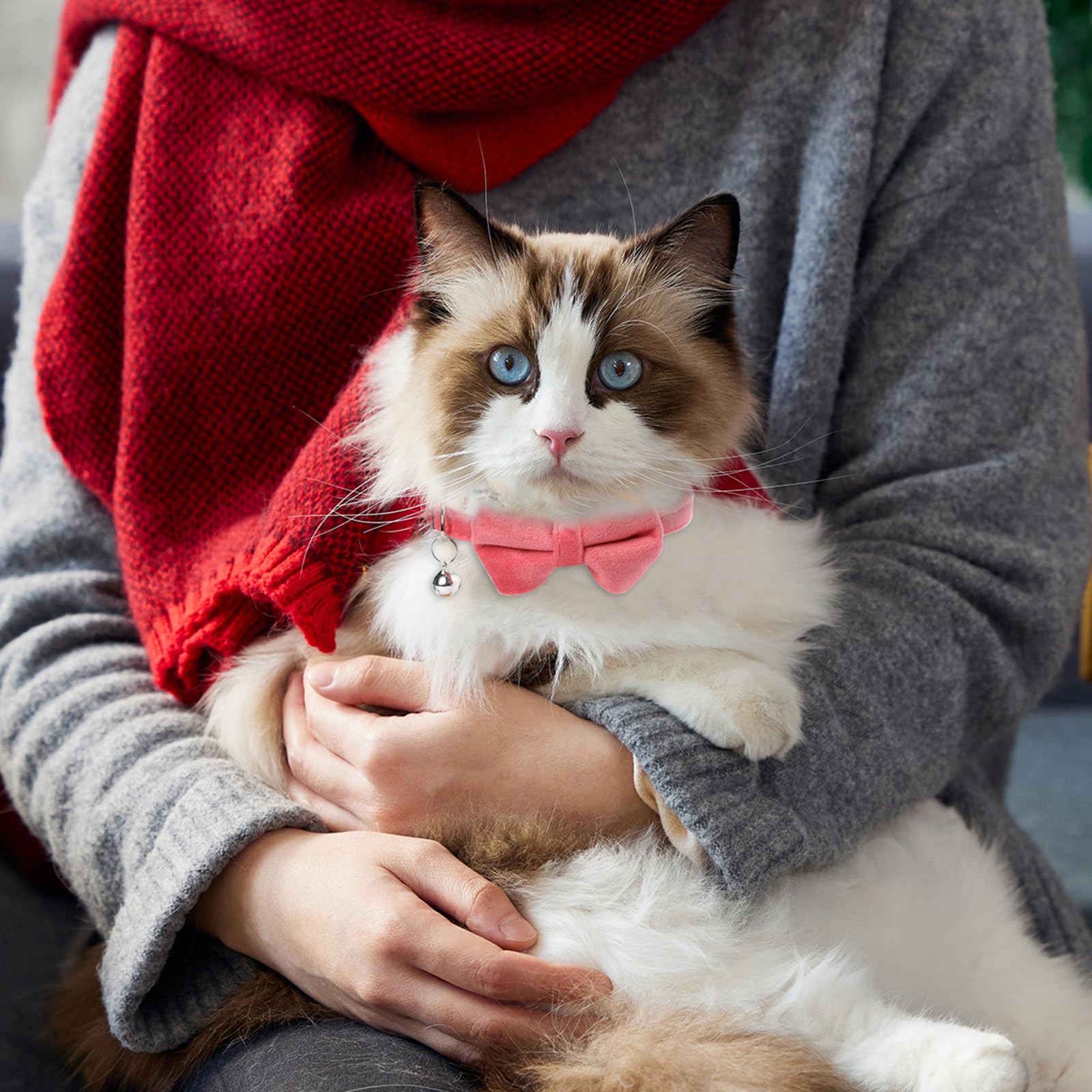 Sliverdew cat collar bell red highlights a bright safety bell and easy spot.