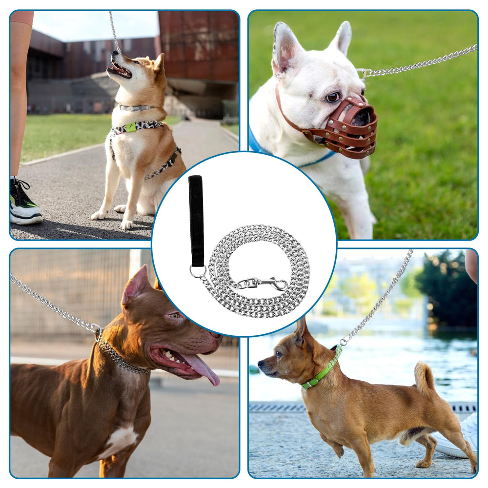 Sliverdew anti-rust durable leash in action with an active dog