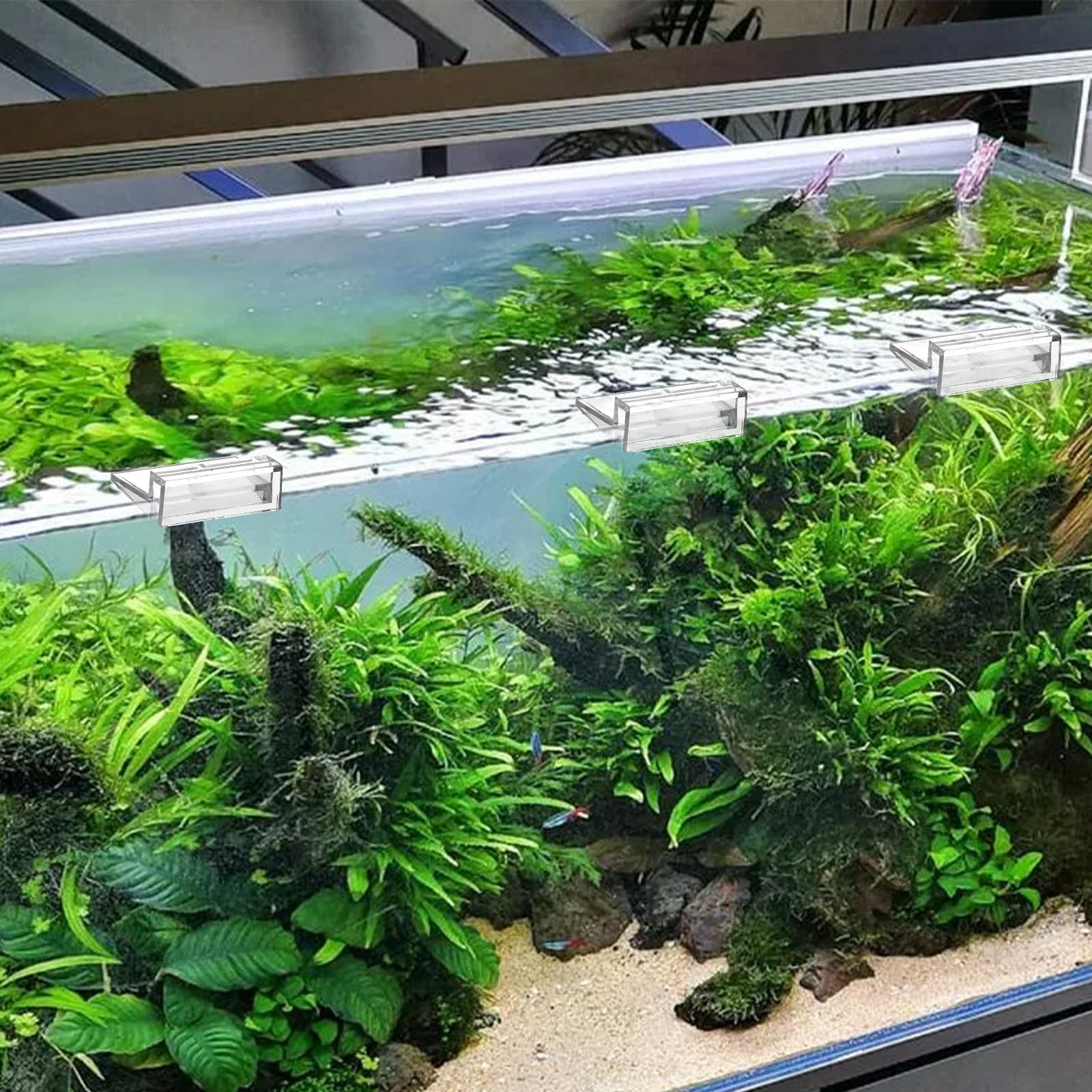 Sliverdew turtle and fish tanks clip helps deter escapes.