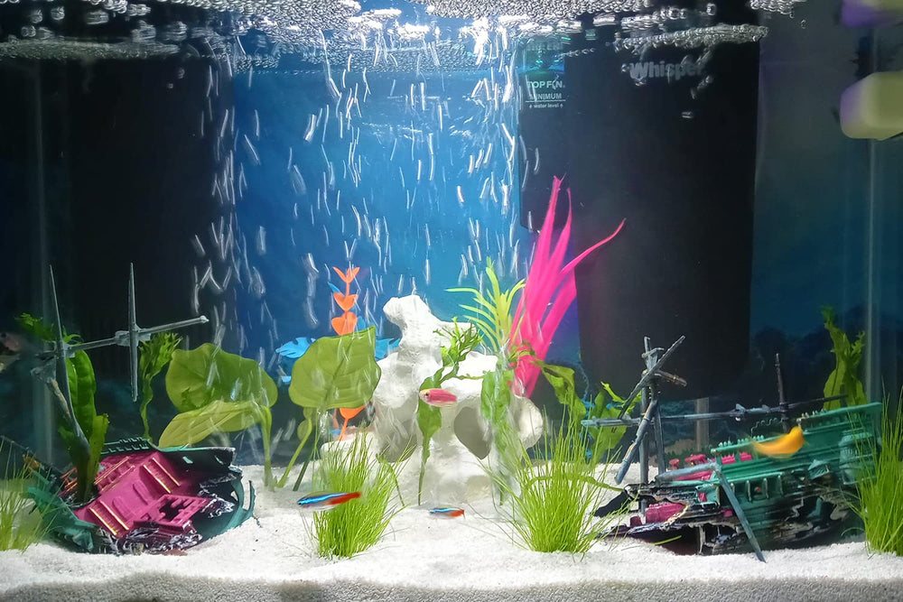 SLOCME shipwreck bubbles rising to create engaging aeration visuals