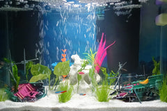 SLOCME shipwreck bubbles rising to create engaging aeration visuals