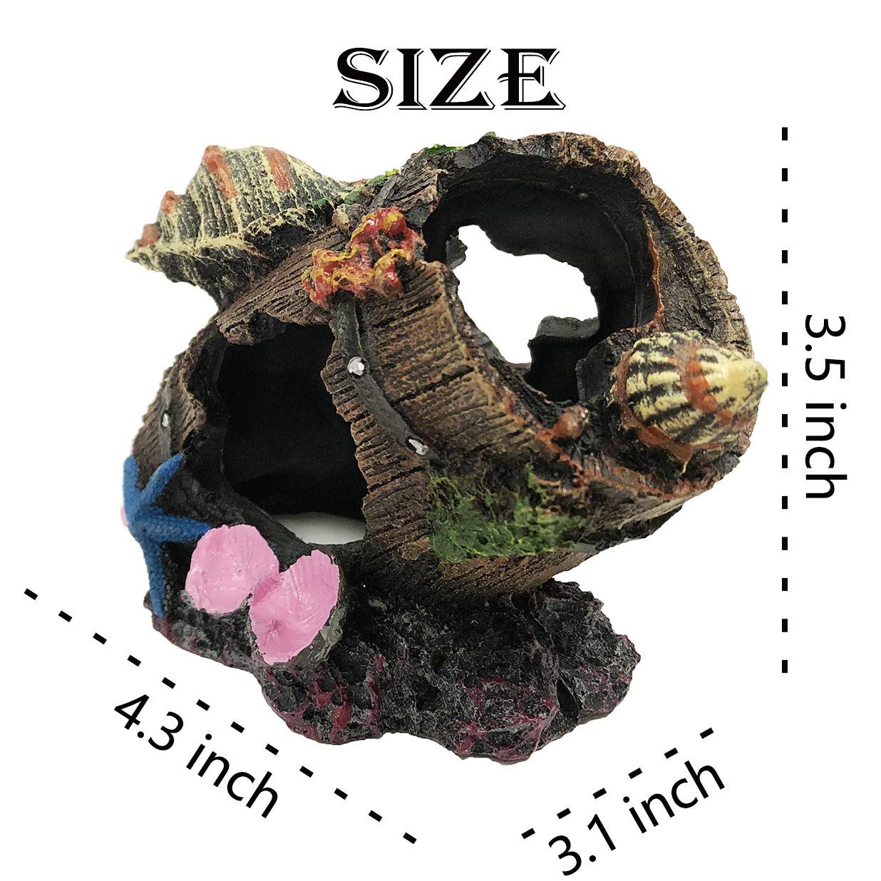 SLOCME broken-barrel-conch-ornament close-up reveals detailed painting and texture.