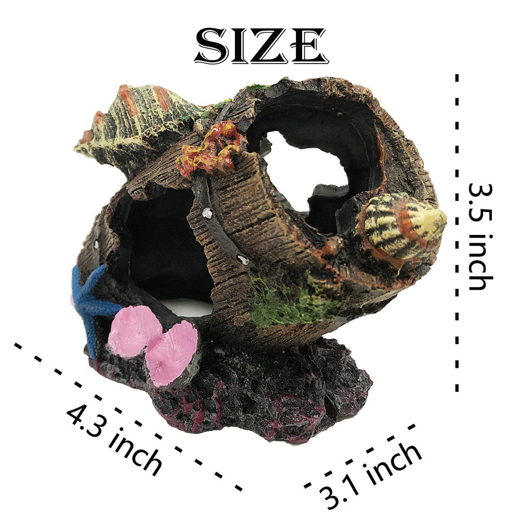 SLOCME broken-barrel-conch-ornament close-up reveals detailed painting and texture.