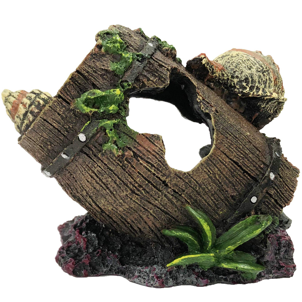 SLOCME conch-barrel ornament invites exploration and playful peeking through holes.