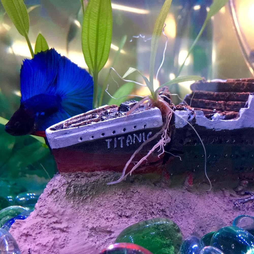 SLOCME sunken-ship ornament enhances underwater storytelling and guest impressions during tank tours.