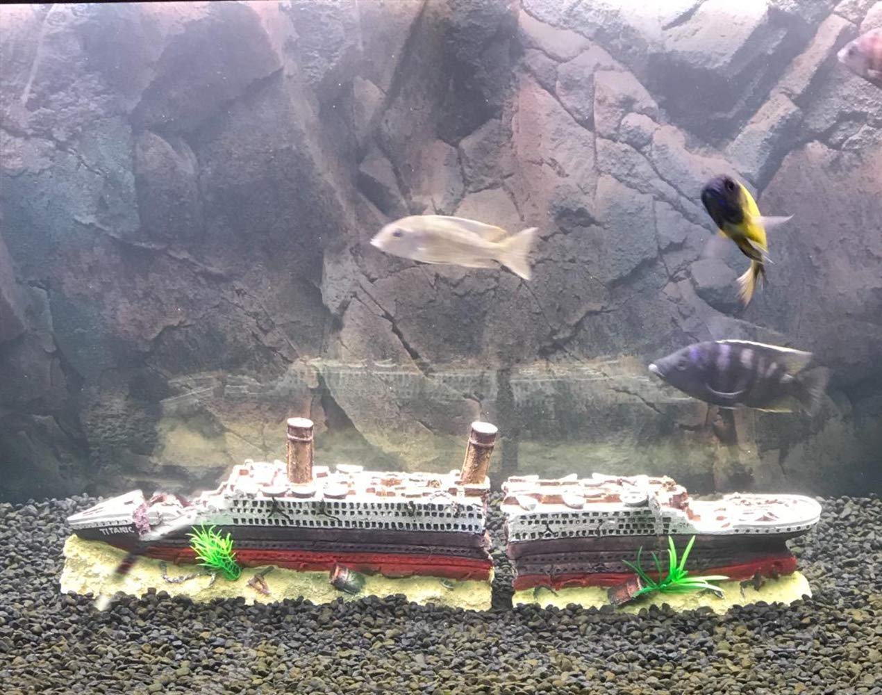 SLOCME large Titanic shipwreck boosts aquascape appeal in large-volume tanks.