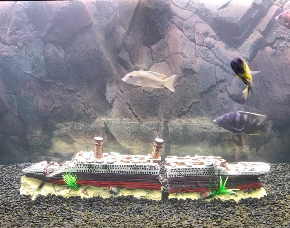 SLOCME large Titanic shipwreck boosts aquascape appeal in large-volume tanks.