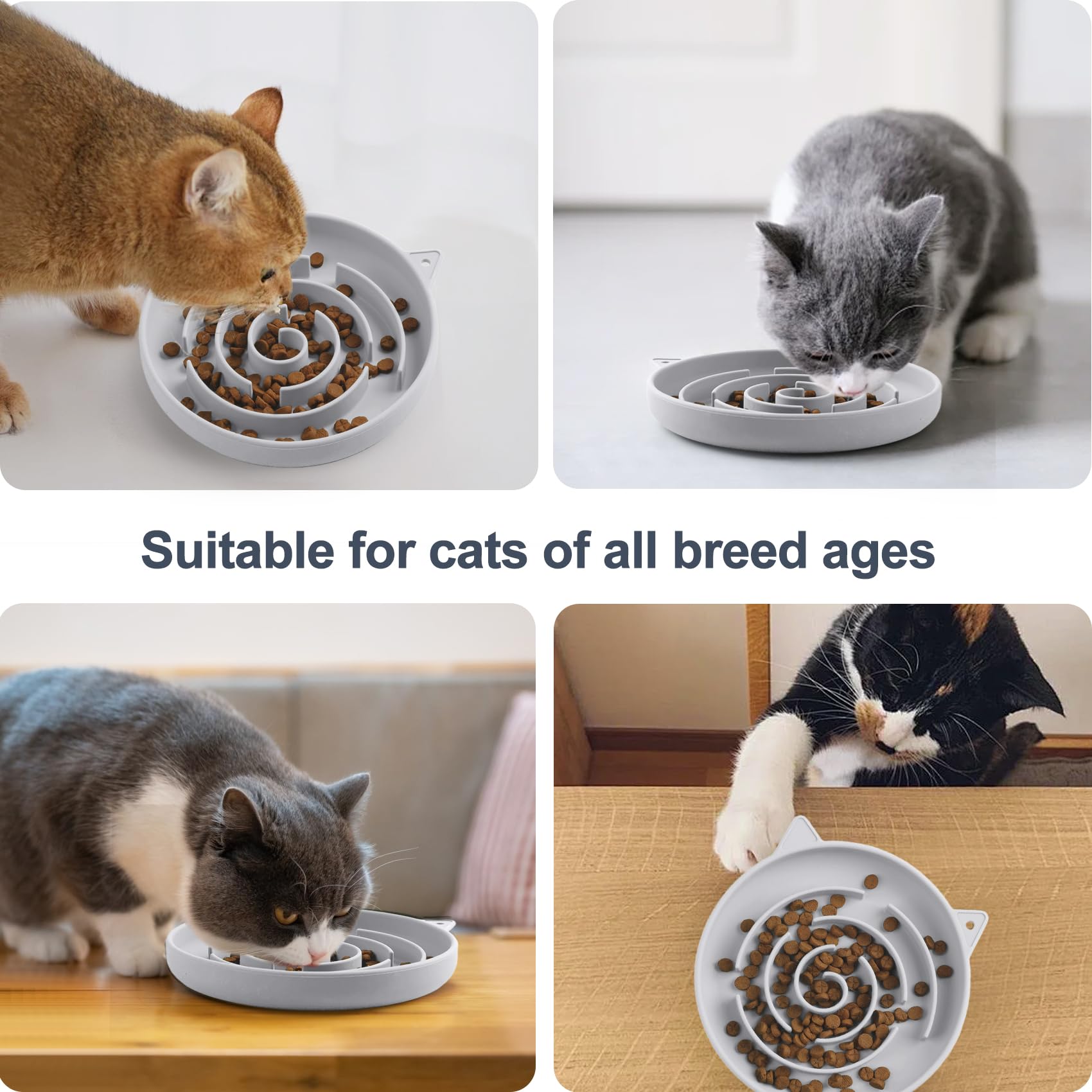 Slofedzy slow feeder cat bowl promotes mindful eating.