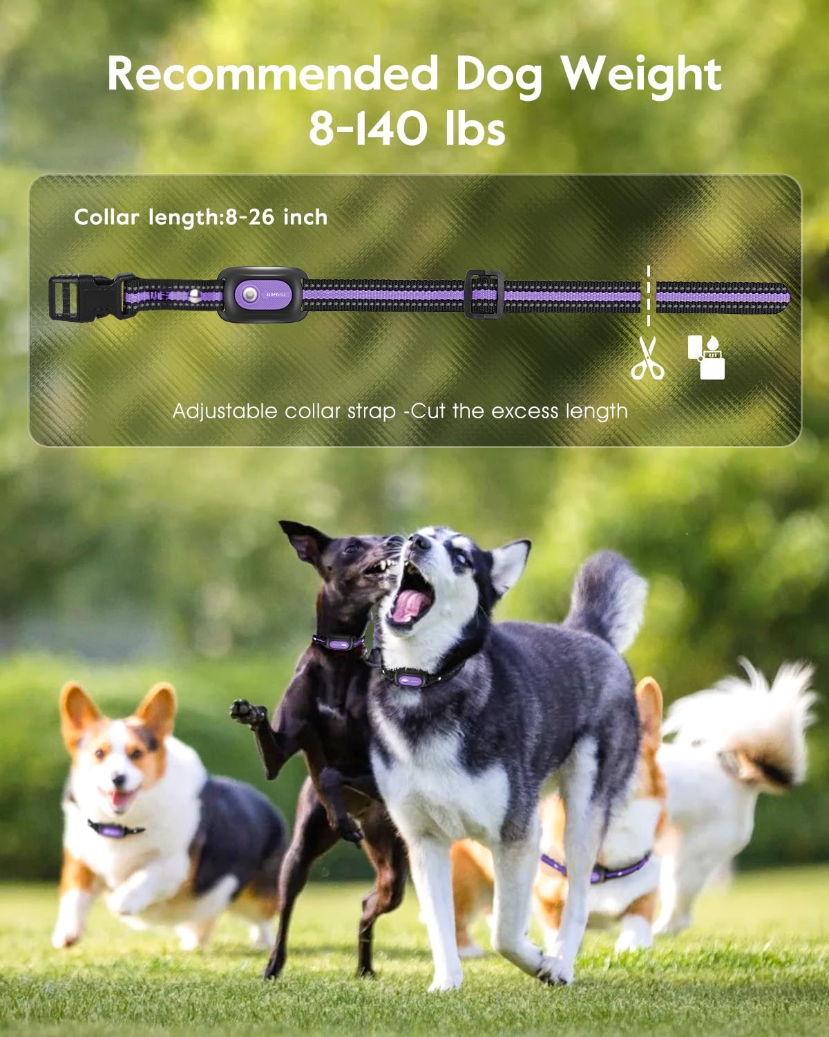 SLOPEHILL 2-pack collars help manage households with multiple dogs