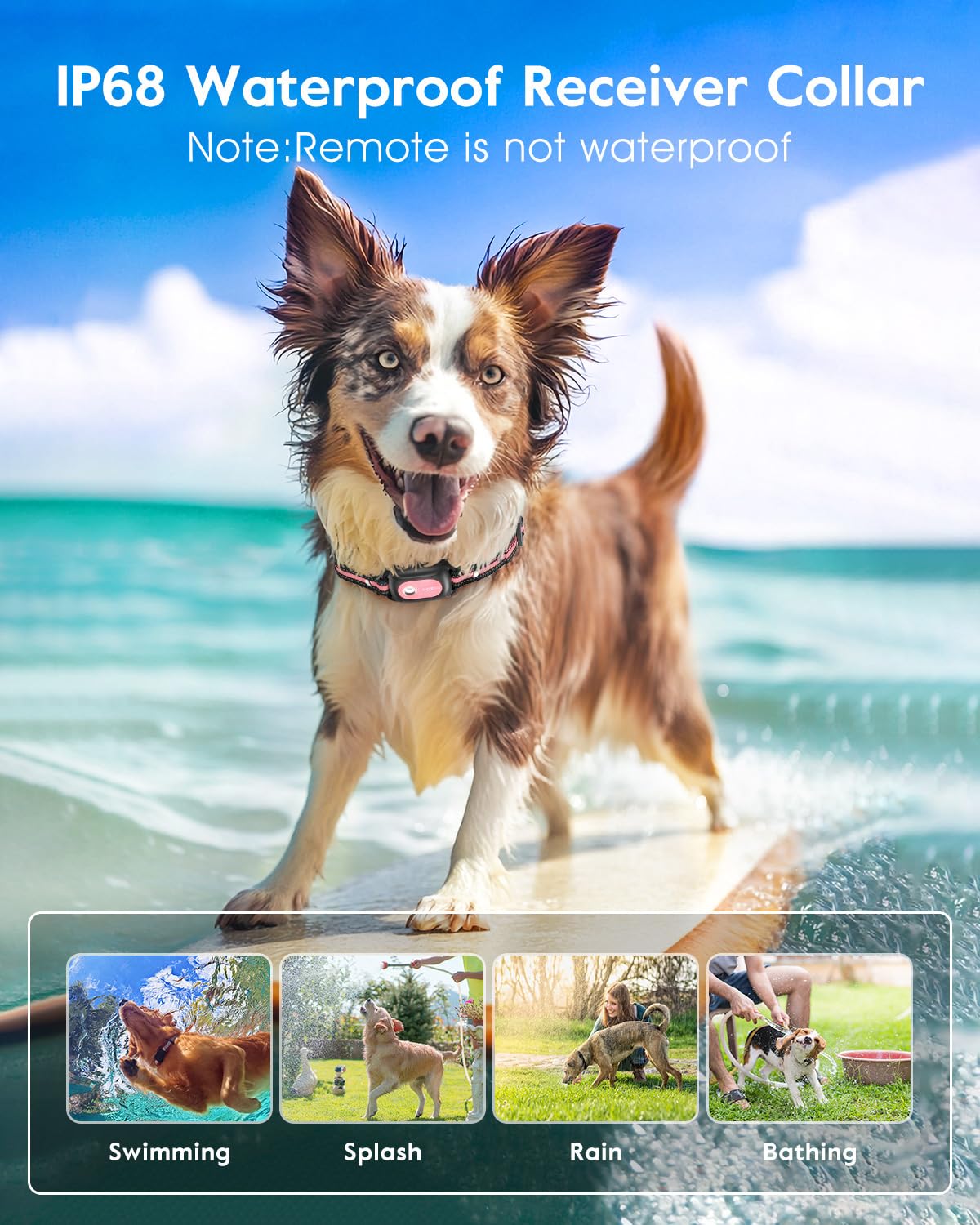 SLOPEHILL adjustable collar 8-26 inches fits most medium to large dogs.