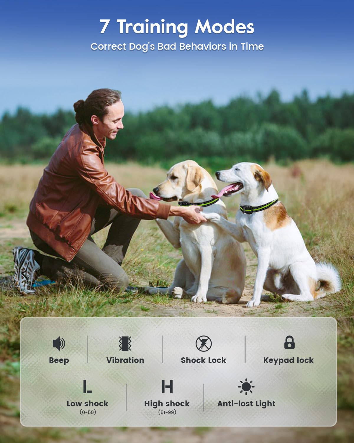 SLOPEHILL collar-strap-8-to-26-in ensures secure fit for many breeds.