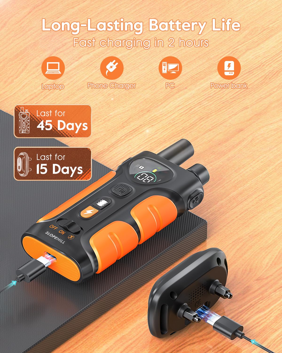 SLOPEHILL two-dog training image illustrating dual-channel capability