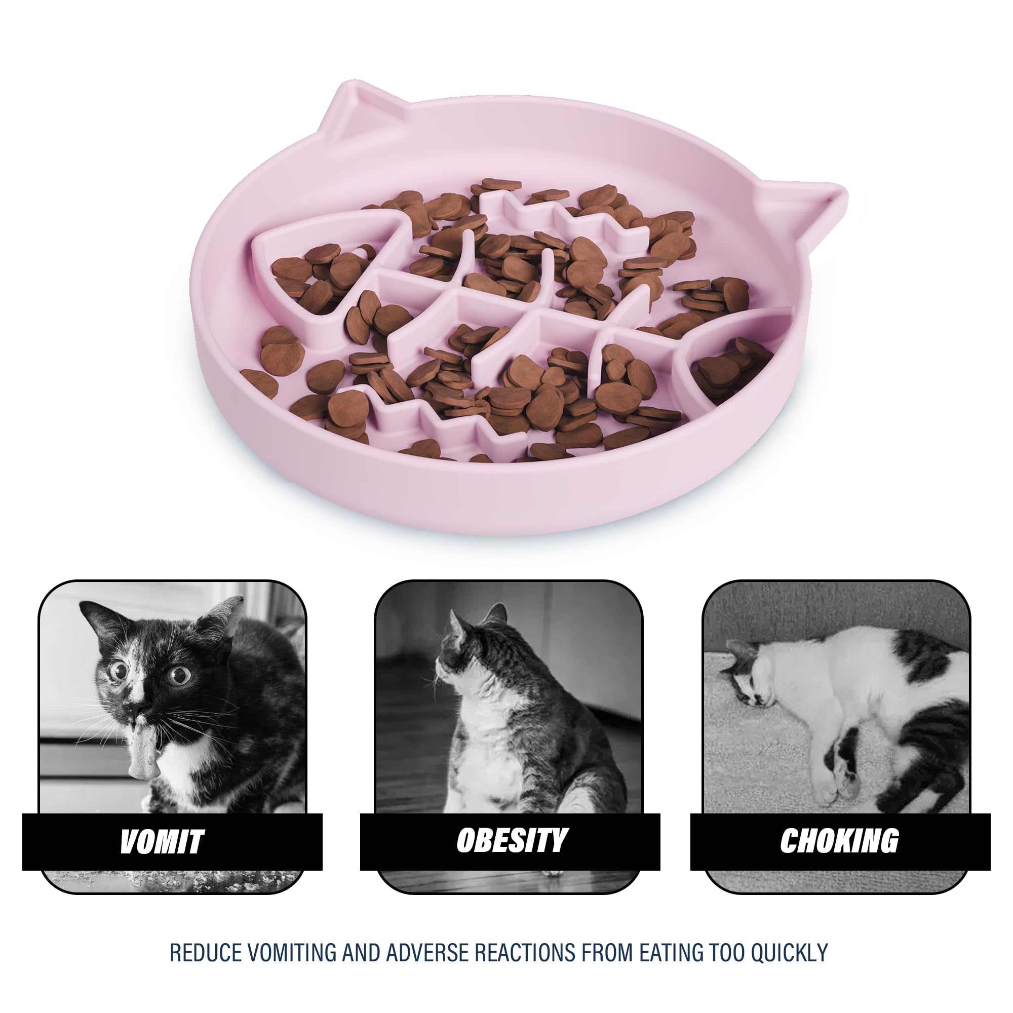 Slowpaw capacity one cup for balanced portions and simple meals