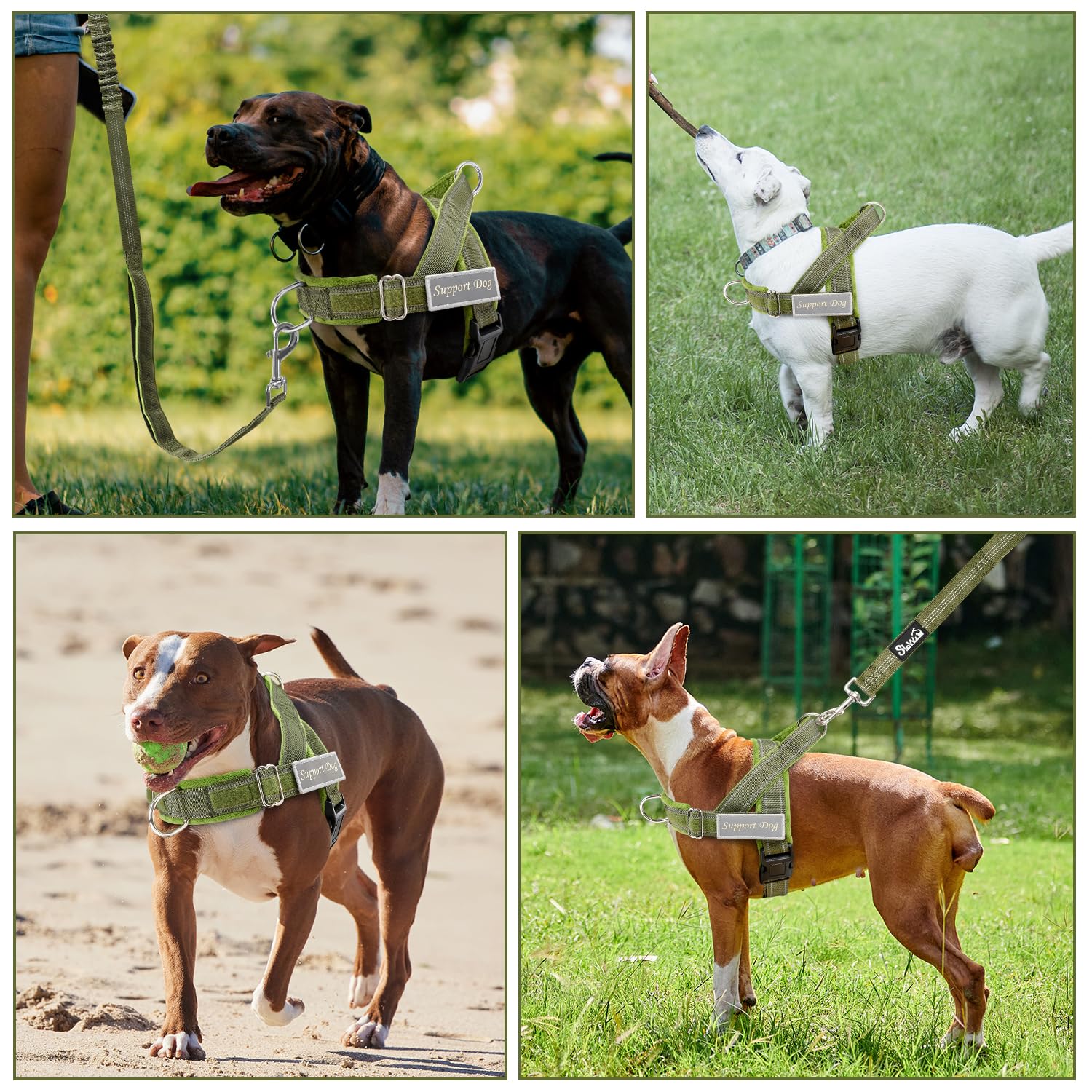 SlowTon 360-degree swivel green XL prevents leash tangles