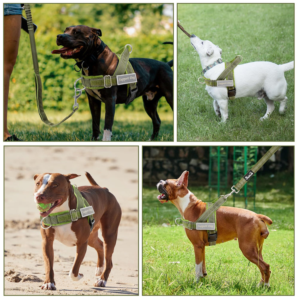 SlowTon 360-degree swivel green XL prevents leash tangles