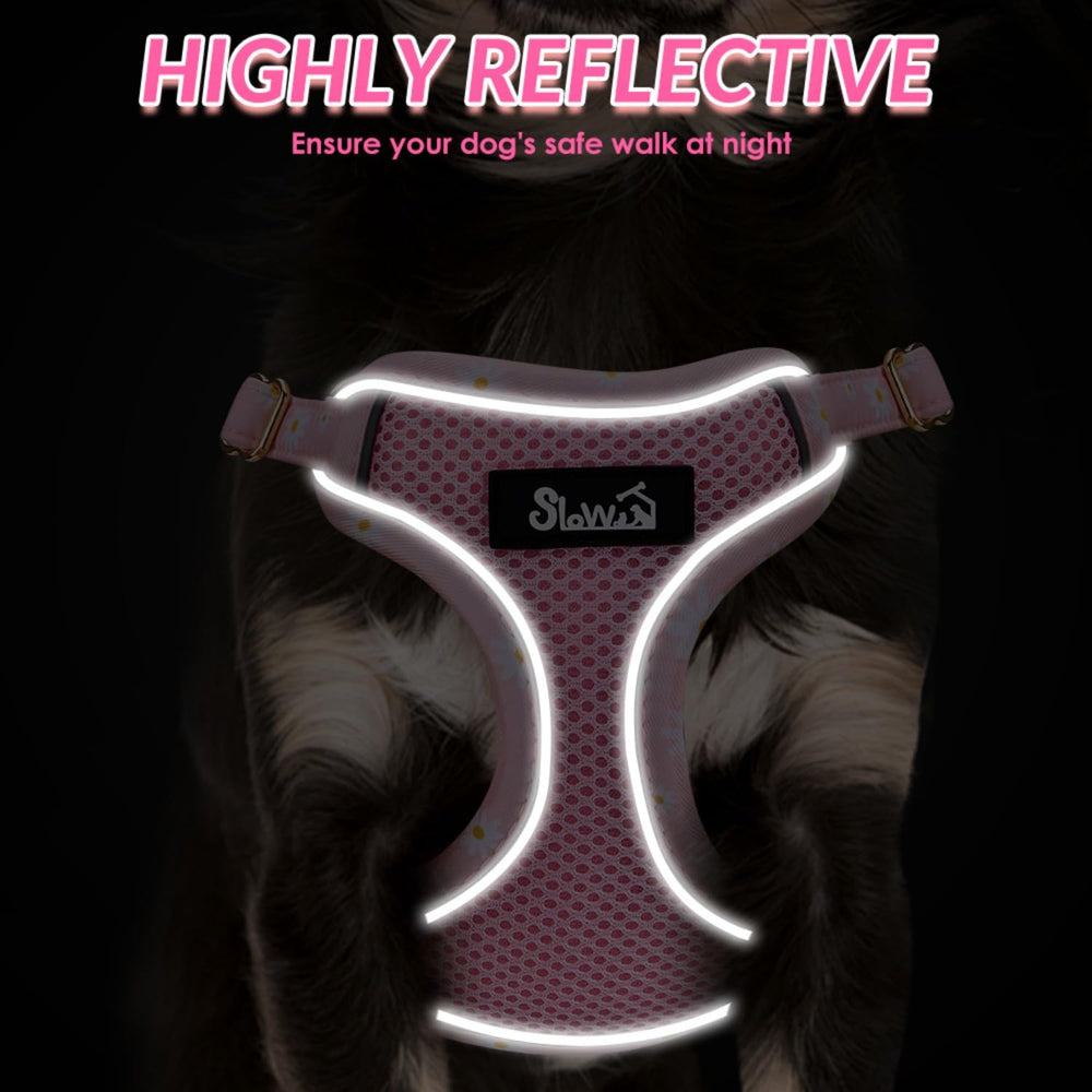 SlowTon adjustable straps harness fits XXS to Medium securely.