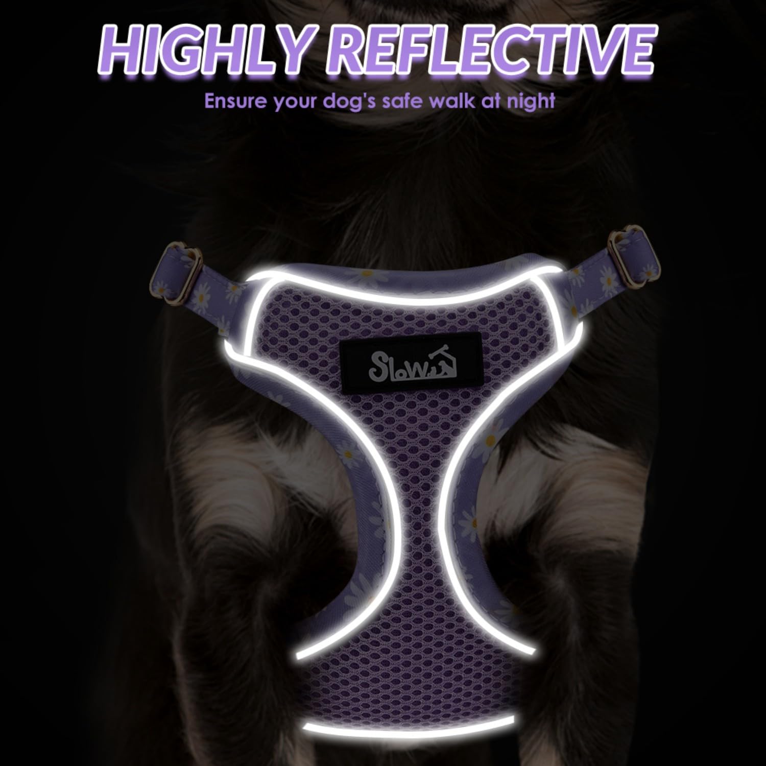 SlowTon harness with 360 rotating buckle shows reduced tangles during training and walks.