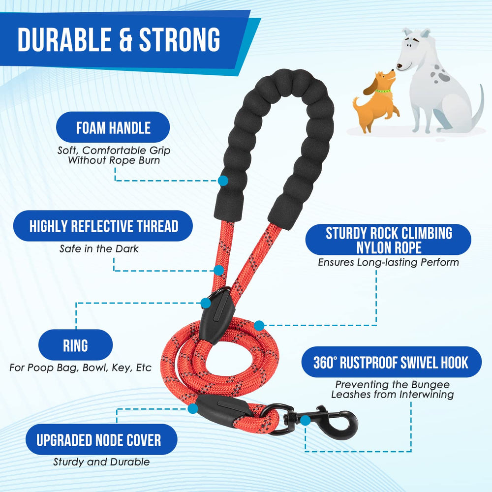 SlowTon dog-leash coupler enables cooperative two-dog walking with handles.