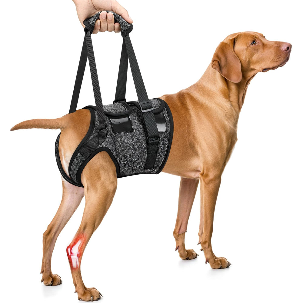 SlowTon Dog Lift Harness front view shows secure fit for stairs and car entry.