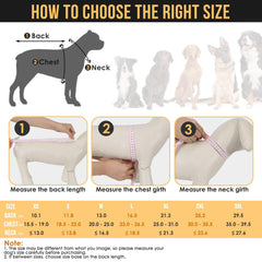 SlowTon dog raincoat clear hood emphasizes visibility while shielding the eyes from rain