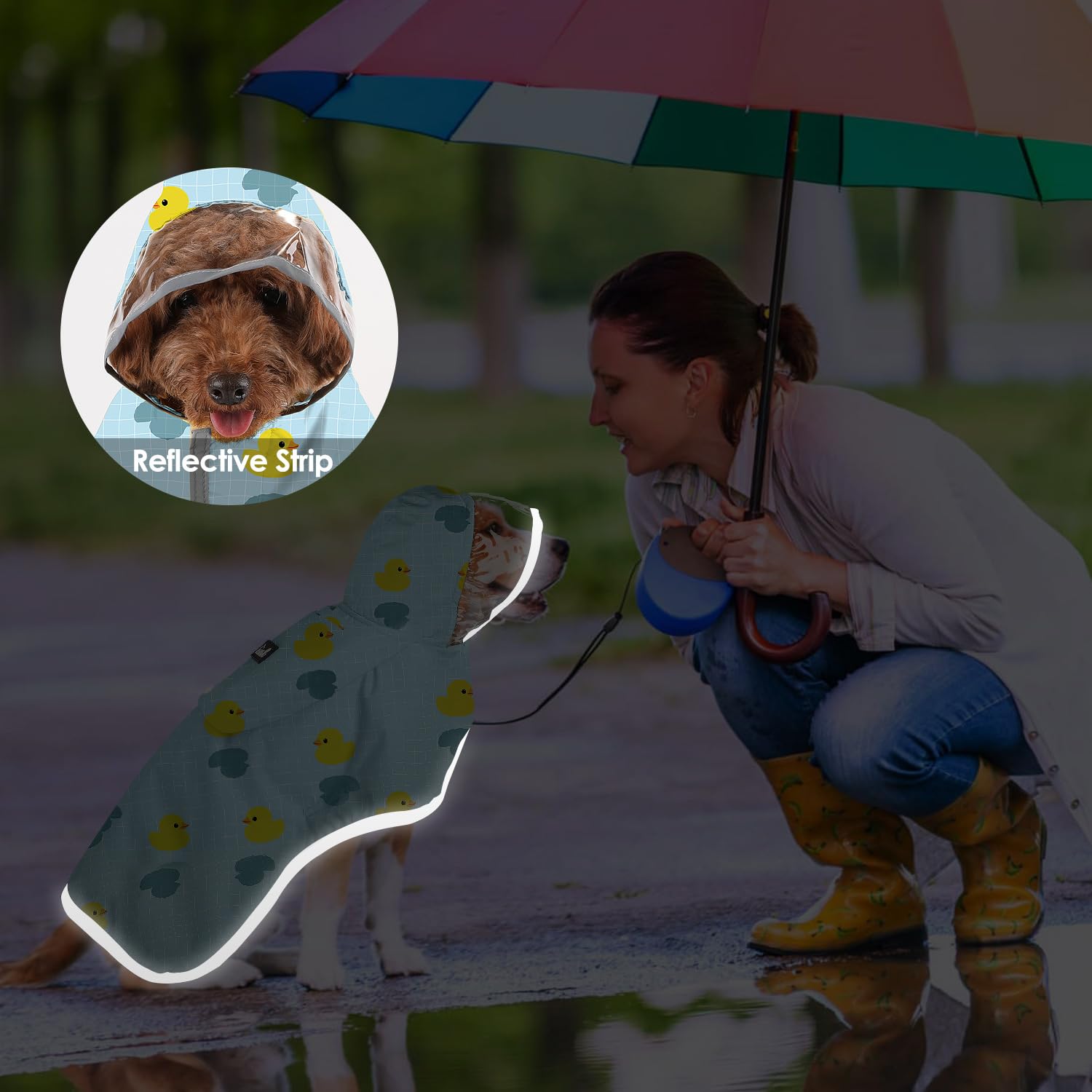 SlowTon dog raincoat model-wiredhair-griffon demonstrates versatile fit on larger breeds.