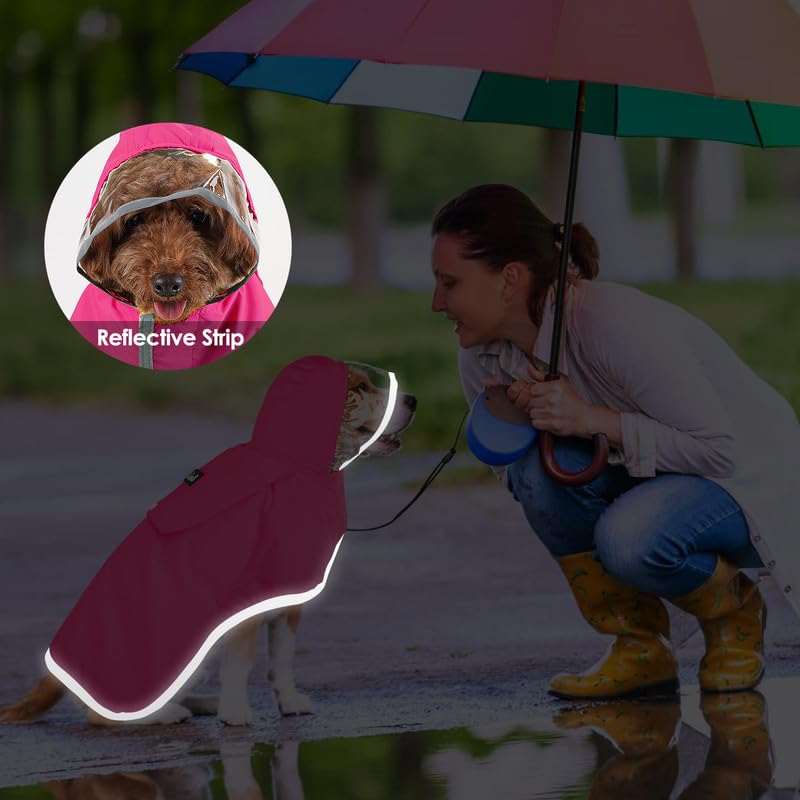 SlowTon dog raincoat on-dog-walk shows ready-to-wear protection during daily walks.